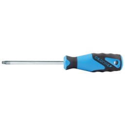 2163 TX T30 Κατσαβίδι 3C TORX T30 GEDORE | PAM